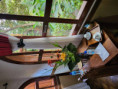 /album/fotogaleria-madagaskar-hotely/madagaskar-hotely-46-jpg/